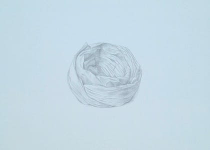 silverpoint, metalpoint, drawing, still life, Tom Mazzullo