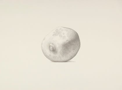 silverpoint, metalpoint, drawing, still life, Tom Mazzullo
