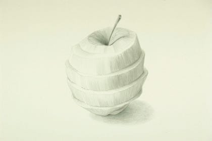 silverpoint, metalpoint, drawing, still life, Tom Mazzullo