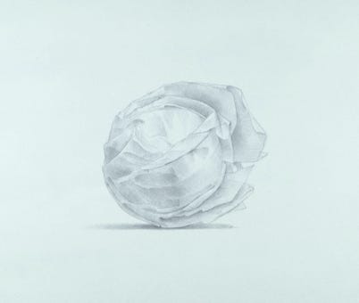 silverpoint, metalpoint, drawing, still life, Tom Mazzullo
