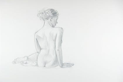 silverpoint, metalpoint, drawing, studies, life drawing, birds, insects, Tom Mazzullo