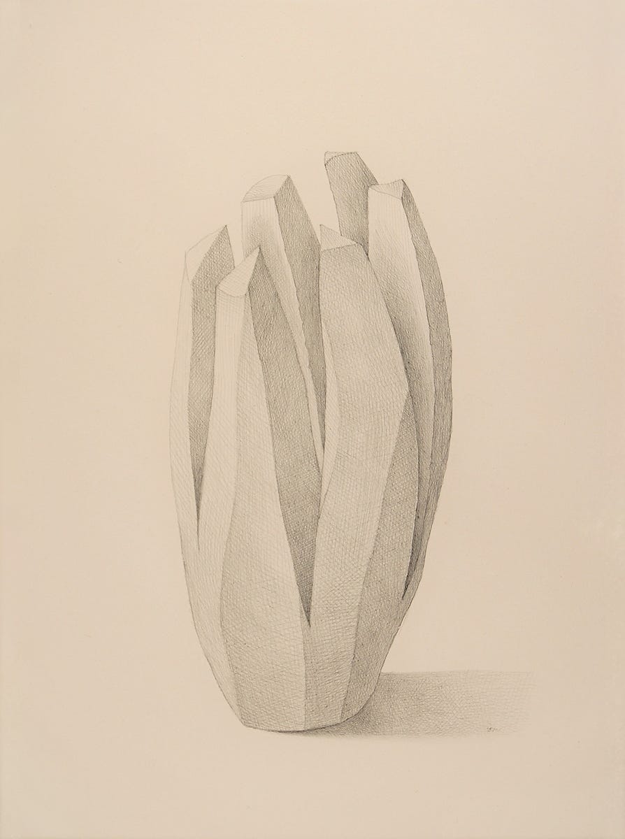 Bloom, 2007, silverpoint on prepared paper, 12 x 9 inches