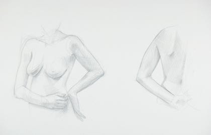 silverpoint, metalpoint, drawing, studies, life drawing, birds, insects, Tom Mazzullo