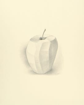 silverpoint, metalpoint, drawing, still life, Tom Mazzullo