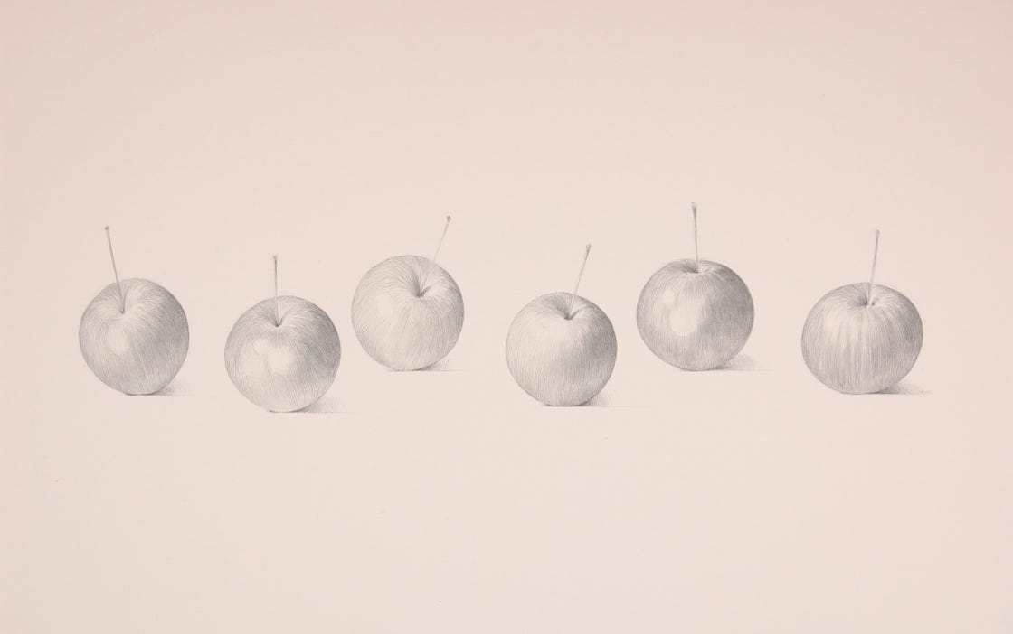 Crabapples, 2008, silverpoint on prepared paper, 12 x 20 inches