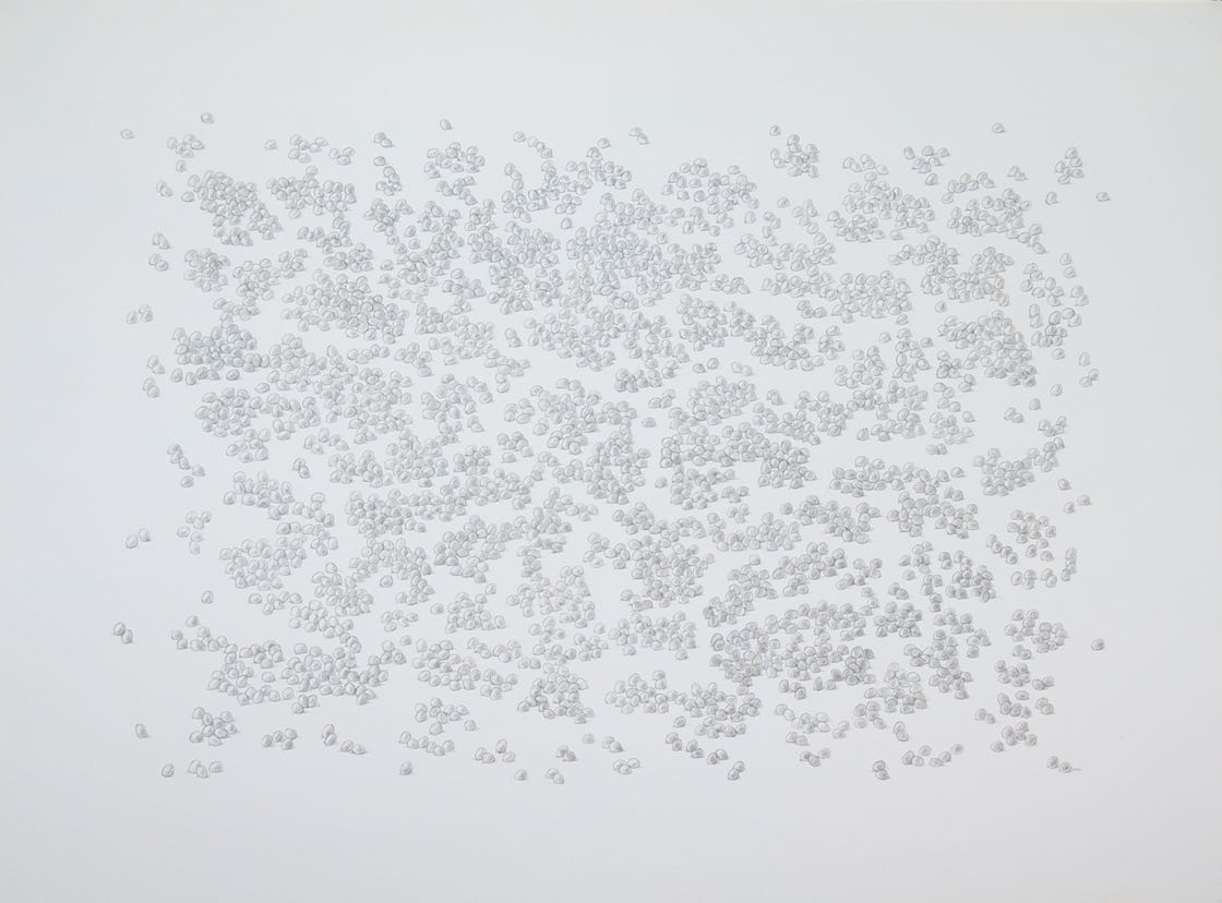 Density, 2009, metalpoint on prepared paper, 22 x 30 inches