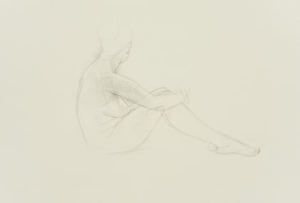 silverpoint, metalpoint, drawing, studies, life drawing, birds, insects, Tom Mazzullo