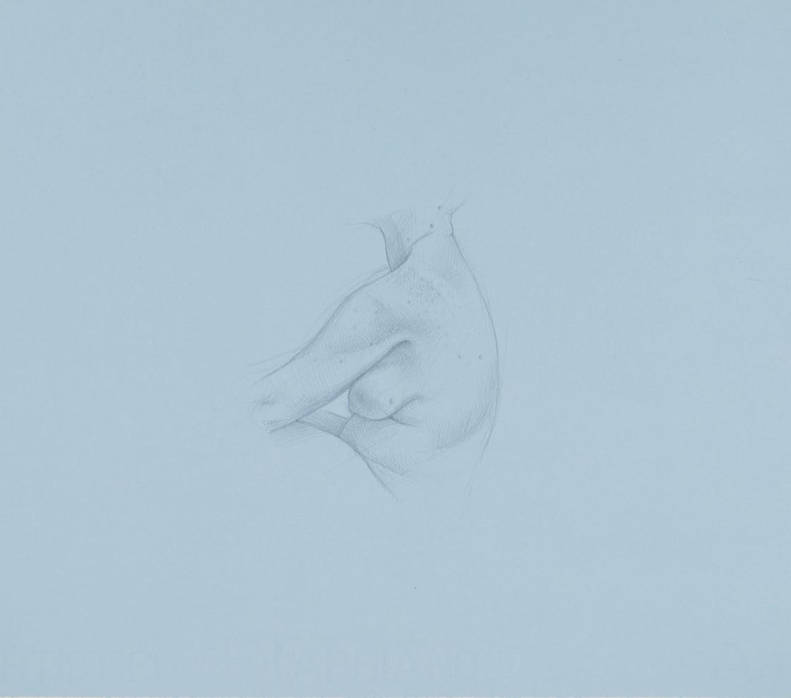 Flank Study, 2017, silverpoint on prepared paper, 10 x 9 inches (sheet size)
