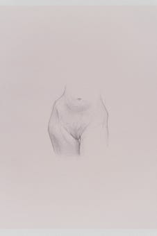 silverpoint, metalpoint, drawing, studies, life drawing, birds, insects, Tom Mazzullo