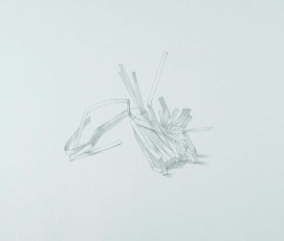 silverpoint, metalpoint, drawing, still life, Tom Mazzullo