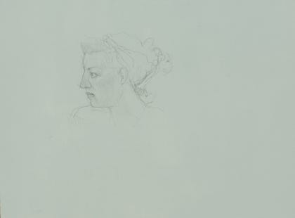 silverpoint, metalpoint, drawing, studies, life drawing, birds, insects, Tom Mazzullo