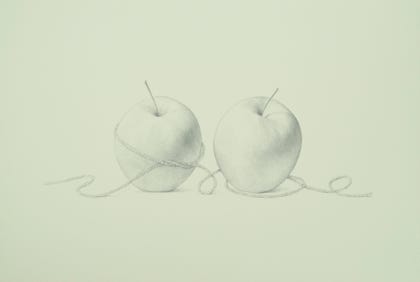 silverpoint, metalpoint, drawing, still life, Tom Mazzullo
