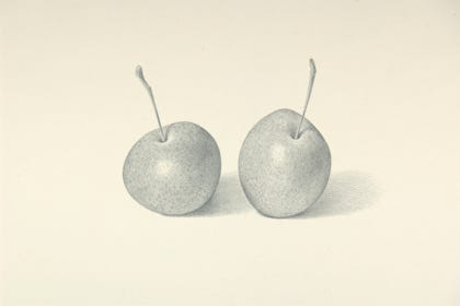 silverpoint, metalpoint, drawing, still life, Tom Mazzullo
