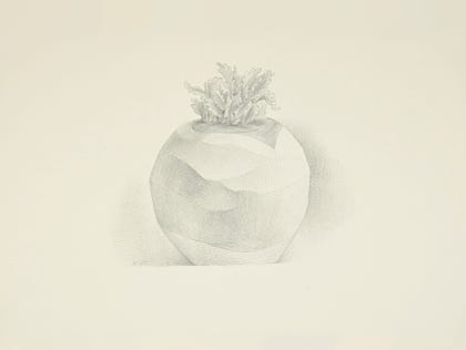 silverpoint, metalpoint, drawing, still life, Tom Mazzullo