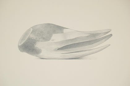 silverpoint, metalpoint, drawing, still life, Tom Mazzullo