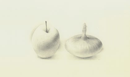 silverpoint, metalpoint, drawing, still life, Tom Mazzullo