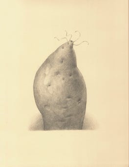 silverpoint, metalpoint, drawing, still life, Tom Mazzullo