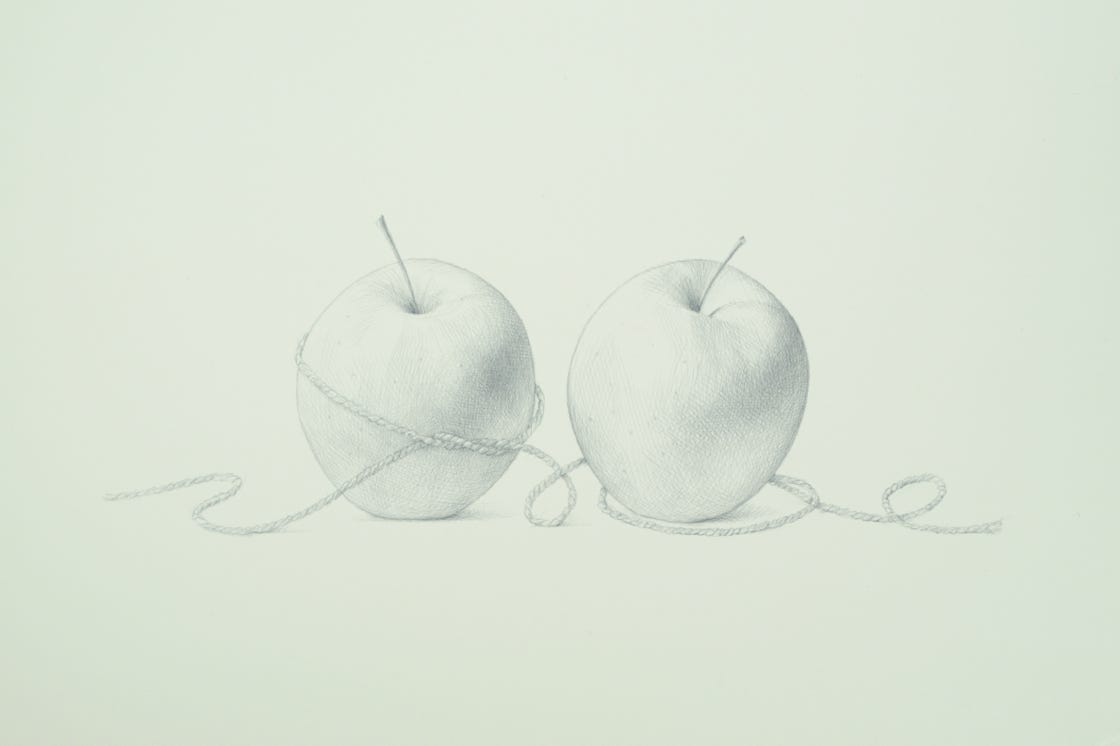 Lunchbox Apples, 2015, silverpoint on prepared paper, 9 1-2 x 15 inches (sheet size)