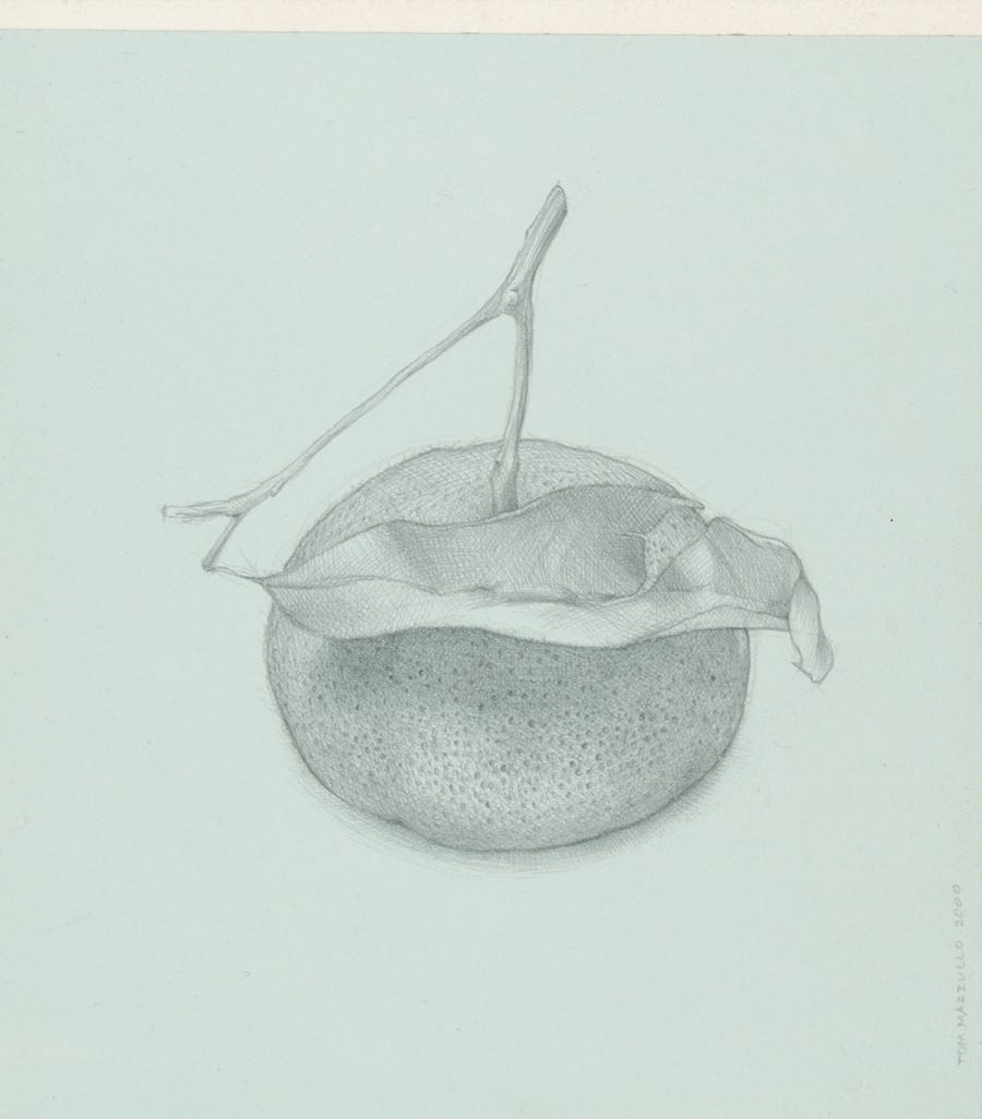 Mandarin, 2000, silverpoint and graphite on prepared paper, 6 x 5 inches