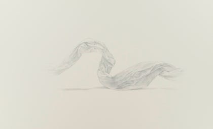 silverpoint, metalpoint, drawing, still life, Tom Mazzullo