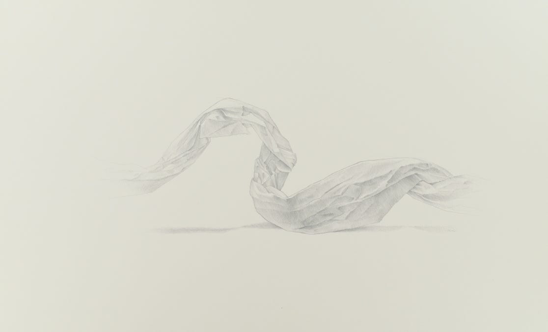 Oxbow, 2015, silverpoint on prepared paper, 12 x 20 inches (sheet size)