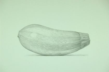 silverpoint, metalpoint, drawing, still life, Tom Mazzullo