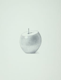 silverpoint, metalpoint, drawing, still life, Tom Mazzullo
