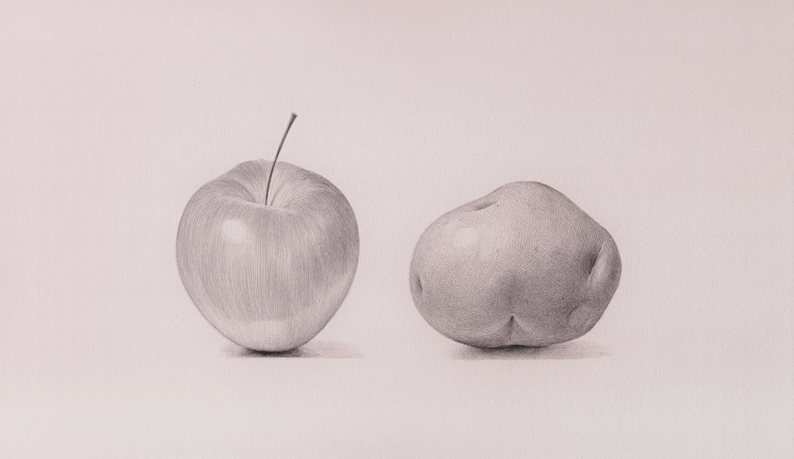 Pomme, Pomme de Terre, 2005, silverpoint on prepared paper, 10 x 14 inches (sheet size)