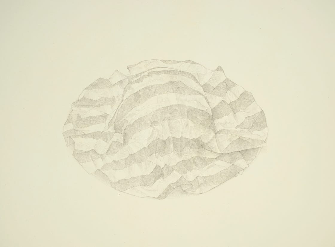 Pucker, 2016, silverpoint on prepared paper, 11 1/2 x 14 1/2 inches (sheet size)