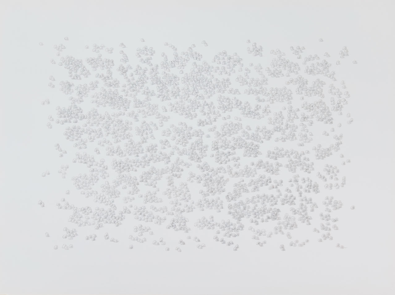 silverpoint, metalpoint, drawing, life drawing, still life, Tom Mazzullo