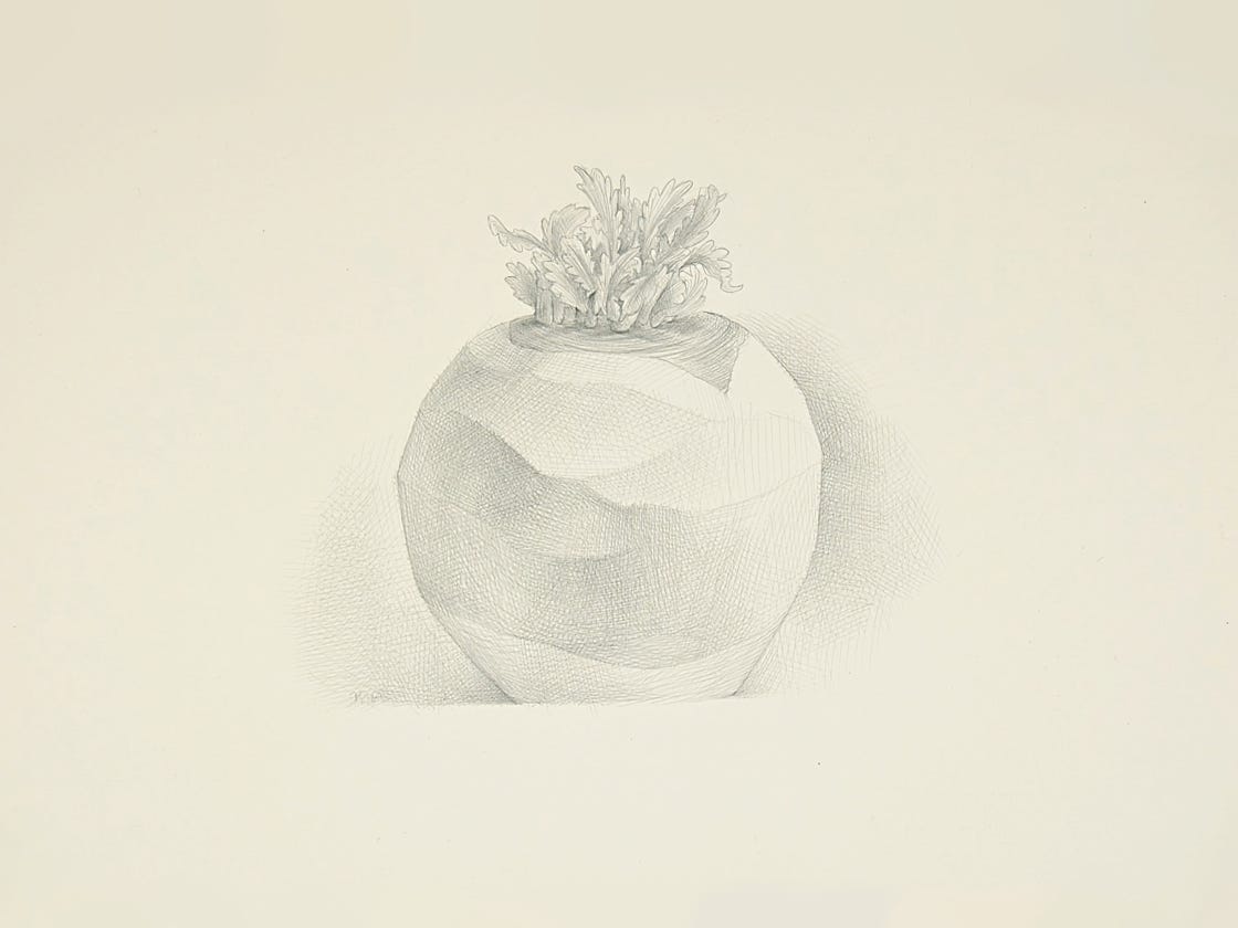 Sprouted, 2008, silverpoint on prepared paper, 8 x 10 inches