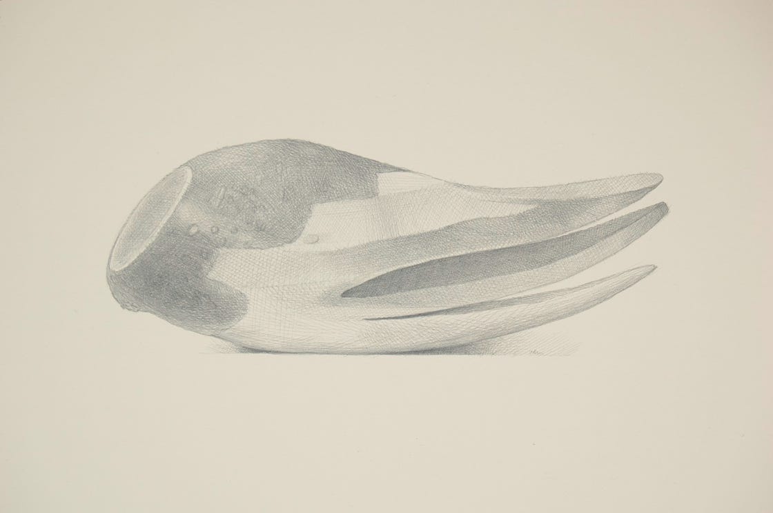 Swim, 2008, silverpoint on prepared paper, 9 x 12 inches